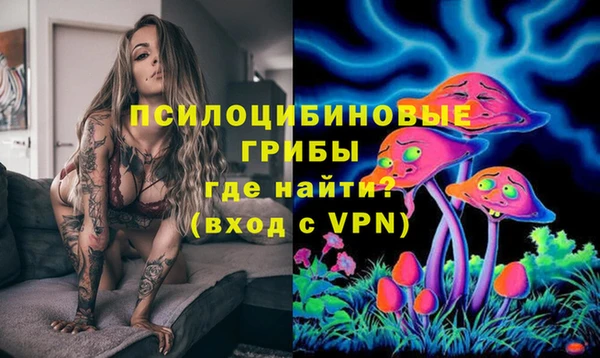 шишки Апатиты