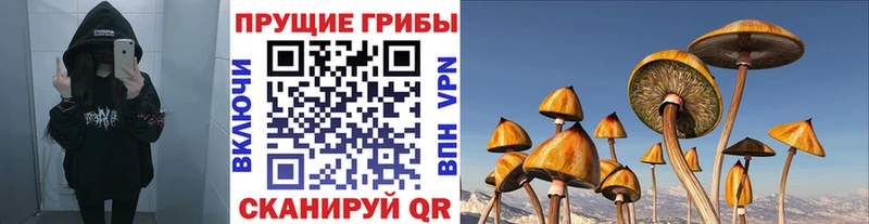 что такое наркотик  Советский  Галлюциногенные грибы прущие грибы 