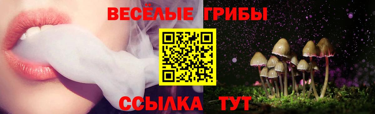 Псилоцибиновые грибы ЛСД  закладка  Советский  Вход с VPN 